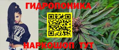 амф Бердск