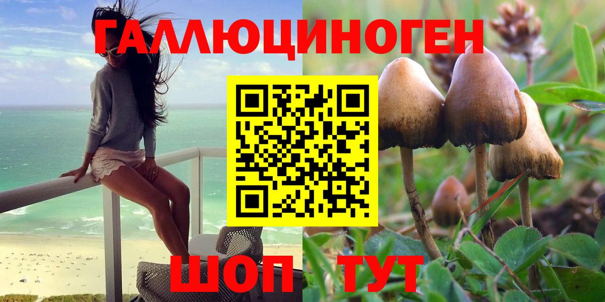 Галлюциногенные грибы Cubensis  Вход с VPN  Благодарный 